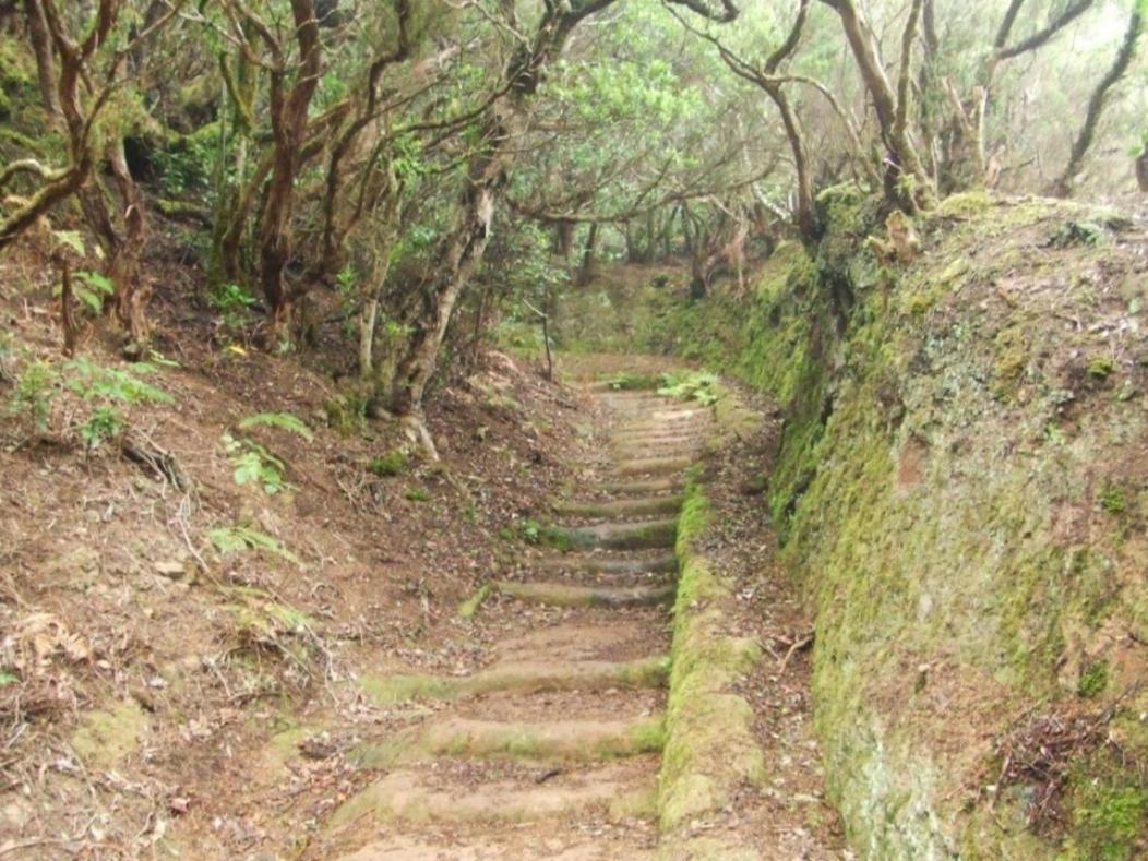 Casa Del Cu Bano A- Biosphere Reserve Taganana Dış mekan fotoğraf